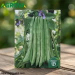 Green Dragon Yardlong Bean Seeds