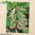 Purple edged eyebrow beans Seeds