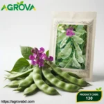 Green Eyebrow Beans Seeds