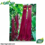 Red Long Yardlong Bean