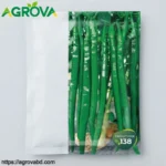 Black Dragon Green Hot Pepper Seeds