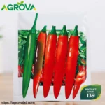 Beauty Queen Hot Pepper Seeds
