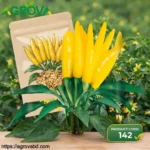 Agrova Gold Finger Pepper Seeds