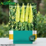 Agrova Little Hot Pepper Seeds