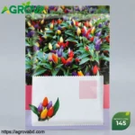 Agrova Rainbow Pepper Seeds