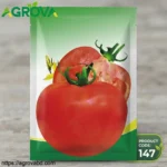 Agrova Red Apple Tomato Seeds