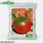Agrova Strawberry Fruit Tomato Seeds