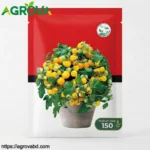Potted Yellow Tomato Seeds
