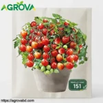 Potted Red Tomato Seeds