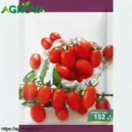 Agrova Red Cherry Tomato Seeds