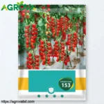 Waterfall Small Cherry Tomato Seeds