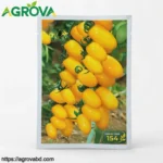 Yellow Cherry Tomato Seeds