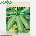 Agrova Green Squash Seeds