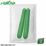 Xiaogan Gourd Seeds