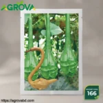 Chicken Neck Gourd Seeds