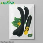 Agrova Pumpkin King Seeds