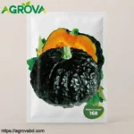 Agrova Japanese Pumpkin Seeds
