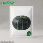 Green Baby Pumpkin Seeds