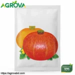 Red Baby Pumpkin Seeds
