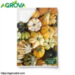 Ornamental pumpkin Seeds