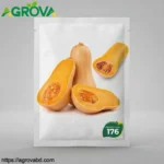 Agrova Cream Pumpkin Seeds