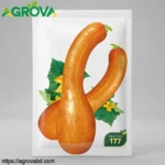 Golden Hook Pumpkin Seeds