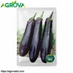 Purple Long Eggplant Seeds