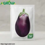 Purple Jar Eggplant Seeds