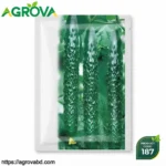 Agrova Arabian Cucumber Seeds