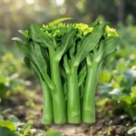 Four Nine Vegetable Heart Seeds