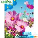 Premium Cosmos Flower Seeds (501 Vibrant Blend)