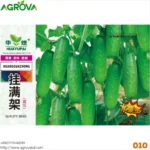 High-Yield Hybrid Cucumber Seeds (F1 Variety 0010)