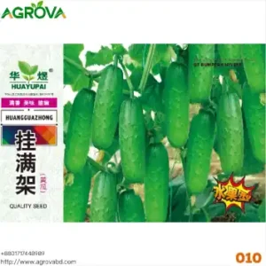 High-Yield Hybrid Cucumber Seeds (F1 Variety 0010)