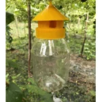 Agrova Pheromone Big Trap (Eco Bio Pest Control)